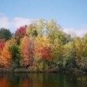 Meet your Posher, Pam